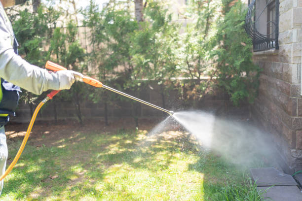 Best Commercial Pest Control Services  in Eleele, HI