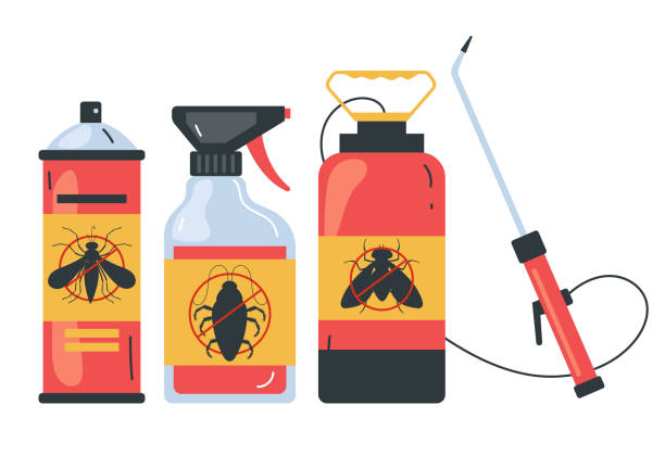 Best Affordable Pest Control Services  in Eleele, HI