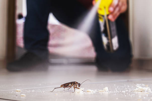Best Pest Control Near Me in Eleele, HI