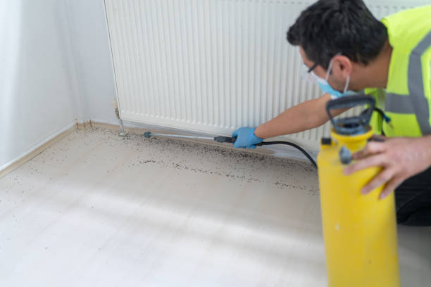 Best Pest Removal Services  in Eleele, HI